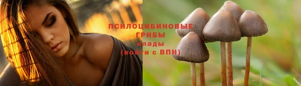 дживик Заволжск