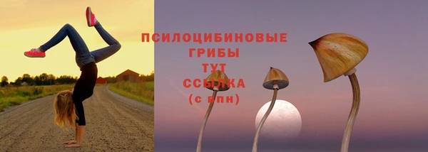 дживик Заволжск