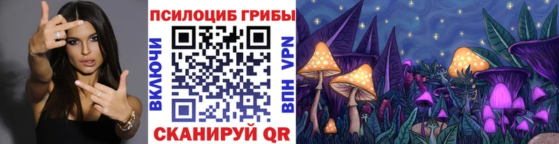наркота  Каменка  Псилоцибиновые грибы мухоморы 