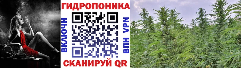 купить Каменка Конопля AK-47